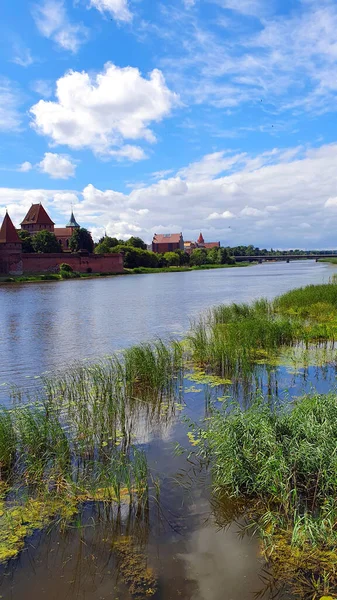 Junto Río Nogat Malbork Polonia — Foto de Stock