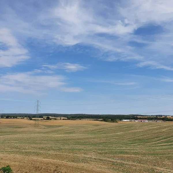 Kraftledningar Fält Blå Himmel — Stockfoto