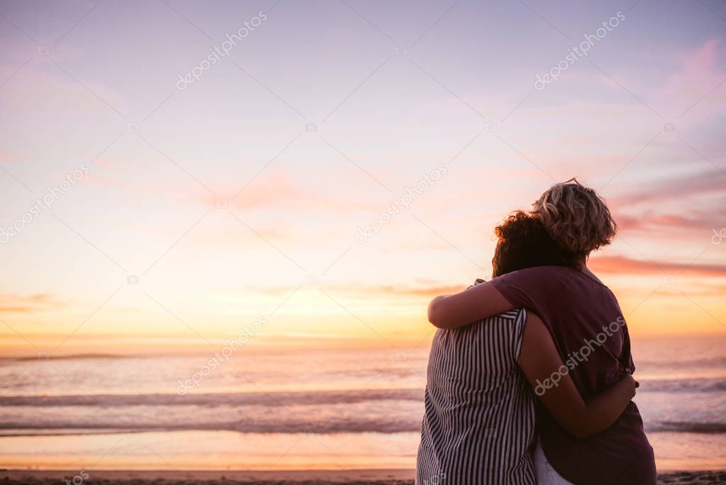 Rear view of an affectionate young lesbian couple standing in each other's arms on a beach watching a romantic sunset over the ocean
