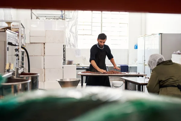 Werknemer Sorteren Cacaobonen Voor Productie Terwijl Staande Een Tafel Een — Stockfoto