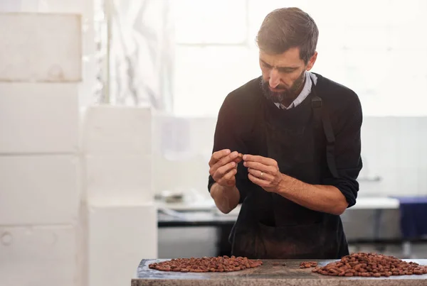 労働者は工場の後ろにフレアを作る職人のチョコレートでテーブルに立っている間生産のカカオ豆を調べる — ストック写真