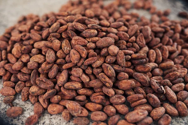 Closeup of a pile of dried cocoa beans ready for production on a table in an artisanal chocolate making factory