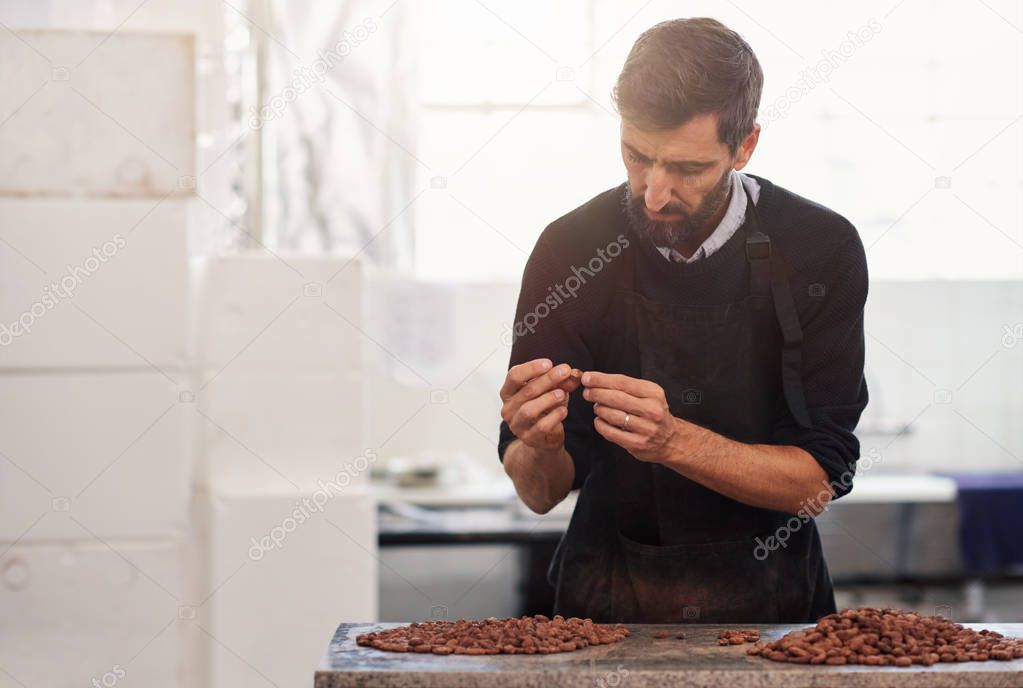 Worker examining a cocoa bean for production while standing at a table in an artisanal chocolate making factory with flare behind