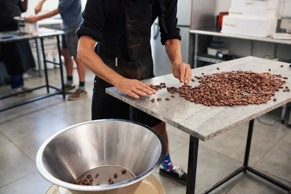 Працівник Стоїть Столом Художній Шоколадній Фабриці Вибираючи Якісні Какао Боби — стокове фото