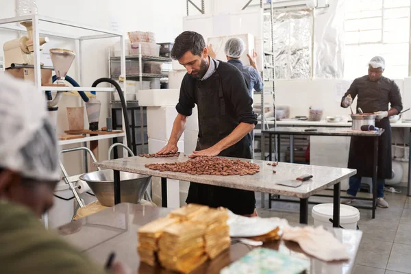 Worker standing at a table in an artisanal chocolate making factory selecting quality cocoa beans by hand