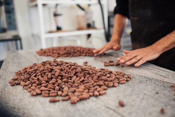 Closeup Worker Sorting Cocao Beans Production Hand While Standing Table — Stock Photo, Image