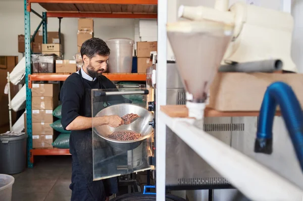 Unternehmer Einer Handwerklichen Schokoladenfabrik Der Mit Einer Schaufel Kakaobohnen Eine — Stockfoto