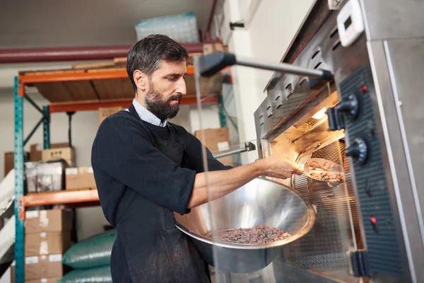 Small Business Owner Artisanal Chocolate Making Factory Placing Cocoa Beans — Stock Photo, Image