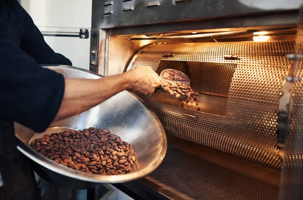 Closeup Worker Artisanal Chocolate Making Factory Placing Cocoa Beans Bowl — Stock Photo, Image