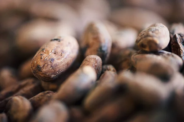 Zbliżenie Suszone Ziarna Kakaowego Leżącego Kupie Gotowy Produkcji Rzemieślnicze Czekolady — Zdjęcie stockowe