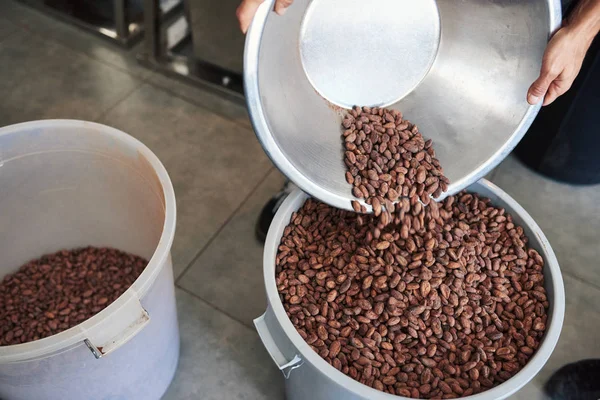 一名工人在手工巧克力制作工厂工作时 将可可豆从碗里倒进一个大桶里的特写镜头 — 图库照片