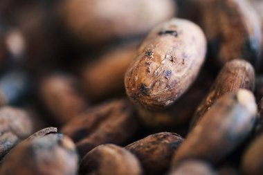Bir yığın zanaat bir çikolata fabrikası üretim için hazır kurutulmuş kakao çekirdekleri closeup