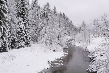 Bir kar üzerinden çalıştırma kısmen donmuş nehir orman manzara kışın ortasında kaplı