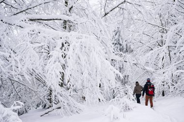 Dikiz dişli birlikte bir kar üzerinden yürüyüş hiking içinde bir çiftin bir kış yürüyüş için dışarı süre orman kaplı