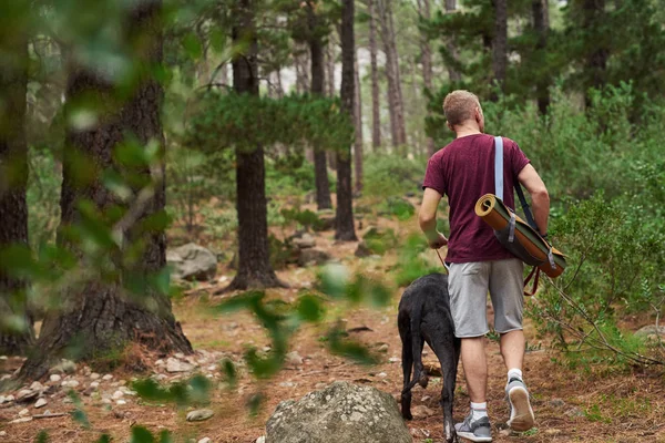 Rearview Man Som Bär Yogamatta Medan Tar Hans Hund För — Stockfoto