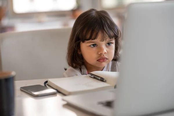 Linda Niña Concentrándose Ver Algo Portátil Mientras Está Sentada Una —  Fotos de Stock