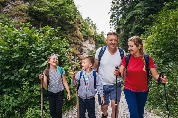 Sorrindo Pais Seus Dois Filhos Bonitos Caminhando Juntos Caminho Através — Fotografia de Stock