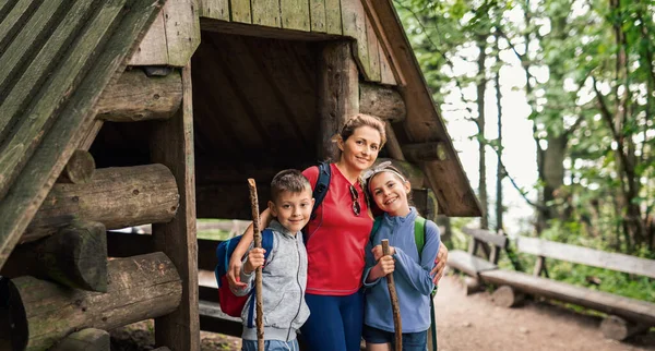 Porträt Einer Lächelnden Mutter Und Ihrer Zwei Niedlichen Kinder Die — Stockfoto