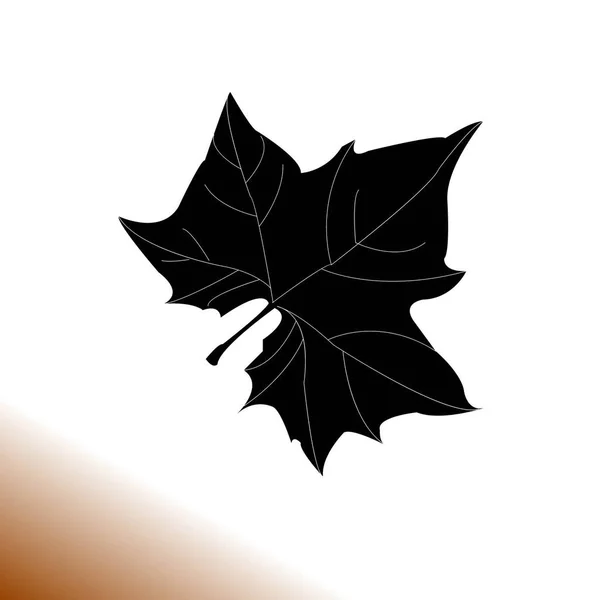 Maple Leaf Silhouet Voor Ontwerp Vectorillustratie — Stockvector