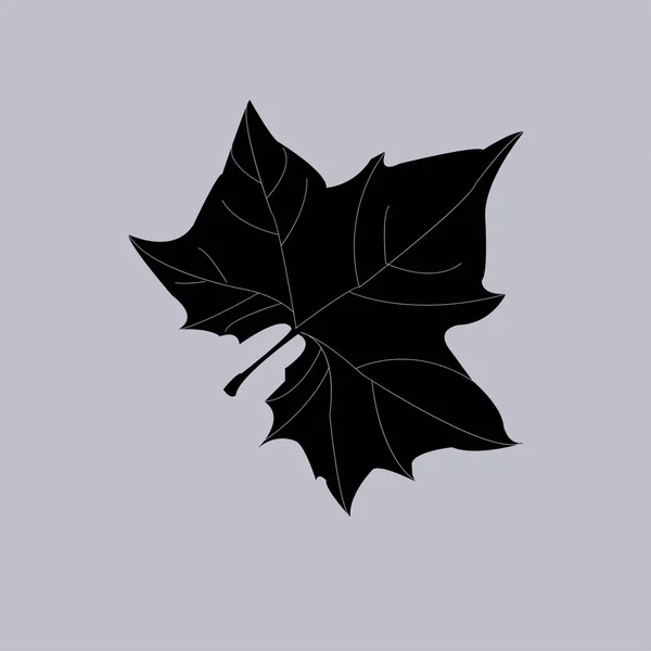 Maple Leaf Silhouet Voor Ontwerp Vectorillustratie — Stockvector