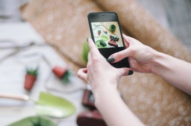 Kadın succulents fotoğraflarını onun smartphone ile yapar. Kadın bir fotoğraf yeşil bitkilerin alarak kavramı.