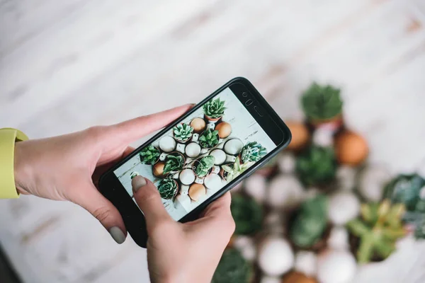Kadın succulents fotoğraflarını onun smartphone ile yapar. Kadın bir fotoğraf yeşil bitkilerin alarak kavramı.