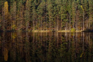 Hameenlinna, Finlandiya. Sahilde sonbahar.