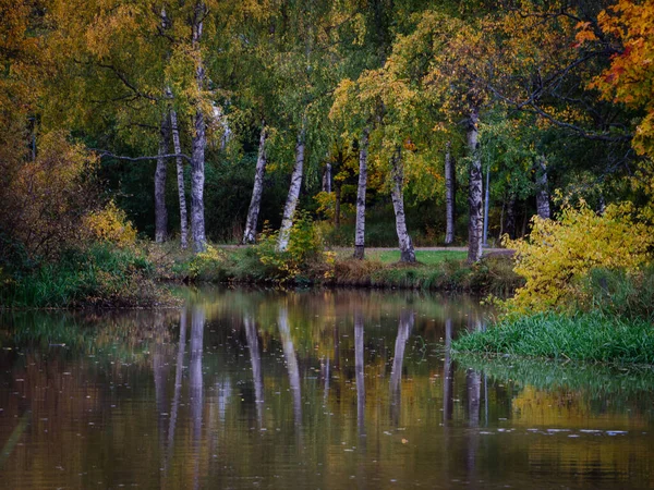 Autumn Reflection Tikkurila District Vantaa Finland — Stock Photo, Image