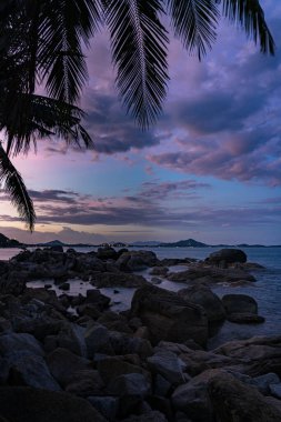 Güzel günbatımı gökyüzü ve palmiyeleri olan sahilin manzarası.