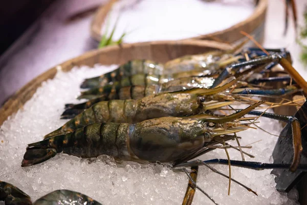 タイのレストランでの氷の上最高品質の新鮮な川海老のクローズ アップ — ストック写真