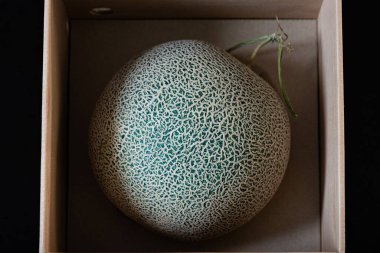 Close up of high quality organic melon growth by Japanese gardener in the glass house use for gift to special person Yubari Japan. clipart