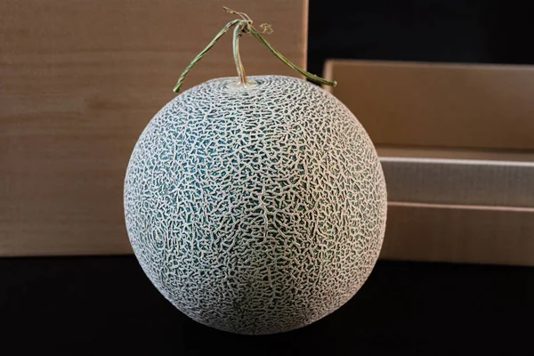Menutup Pertumbuhan Melon Organik Berkualitas Tinggi Oleh Tukang Kebun Jepang Stok Gambar Bebas Royalti