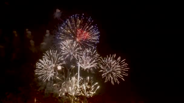 Fuegos artificiales celebran aniversario, feliz año nuevo, 4 de julio festival de vacaciones. fuegos artificiales de colores en la noche . — Vídeos de Stock