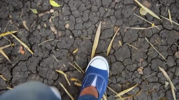 Sapato Tênis Azul Caminhadas Floresta Mulher Andando Livre Conceito Carona — Vídeo de Stock