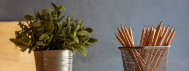 Pankart saksısı, kalem keskinliği, ofis dekorasyonu, ahşap masa. Yeşil dekore edilmiş ofis masası. Ahşap ofis masasındaki yeşil saksı vazosu kalem kutusu ofisini fotokopi alanı ile dekore et.