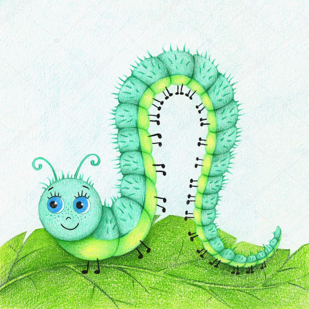 hand drawn picture of funny caterpillar on the leaf by the color pencils