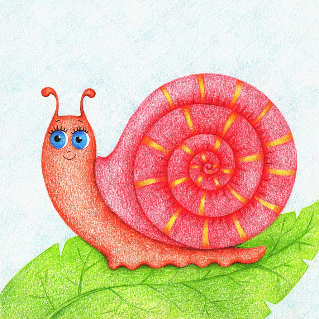 hands drawn picture of snail on green leaf by the color pencils