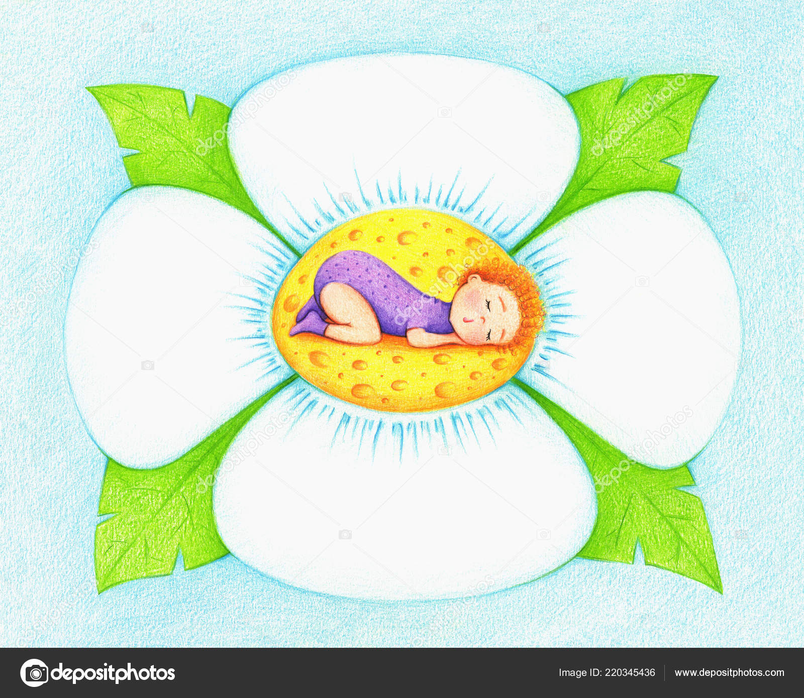 Dessin Main Bebe Dormant Sur Une Fleur Crayon Couleur Image Libre De Droit Par Olyaruta Yandex Ru C