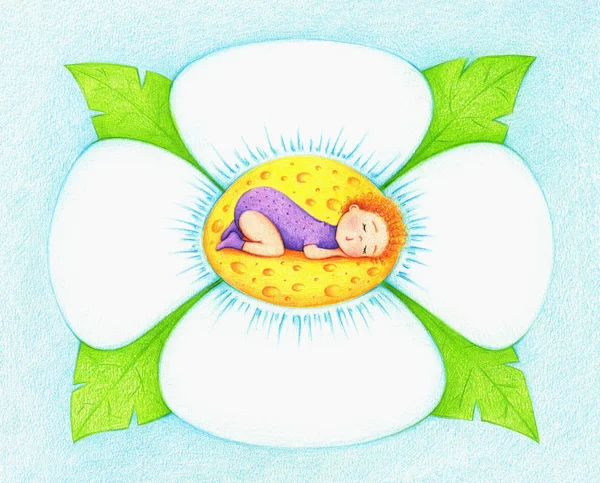 Mãos Desenhadas Ilustração Bebê Dormindo Flor Por Lápis Cor — Fotografia de Stock
