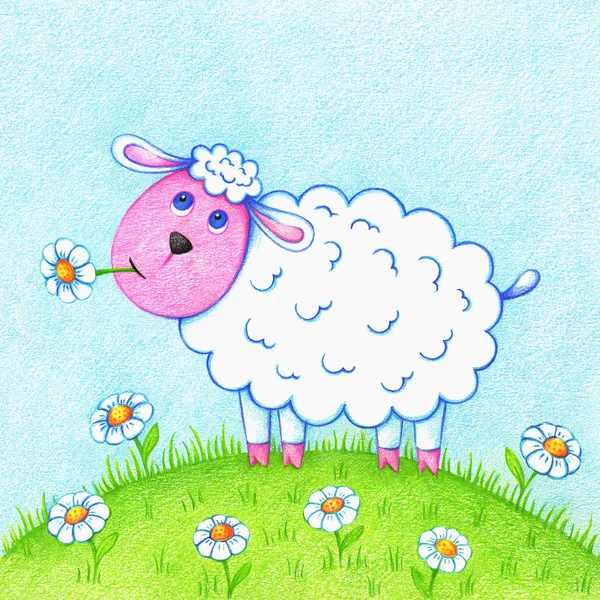 手画白羊羔在草地上吃一朵花的彩色铅笔 孩子的绵羊例证 — 图库照片