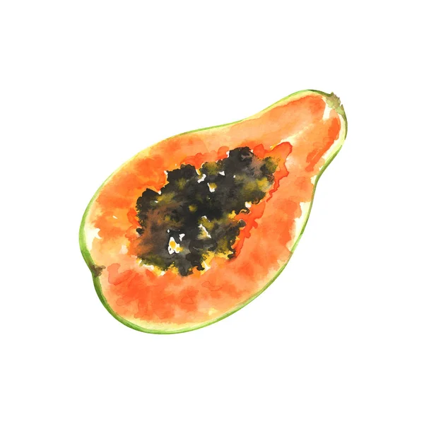 Handgemalte Aquarell Papaya Isoliert Auf Weißem Hintergrund Illustration Der Früchte — Stockfoto