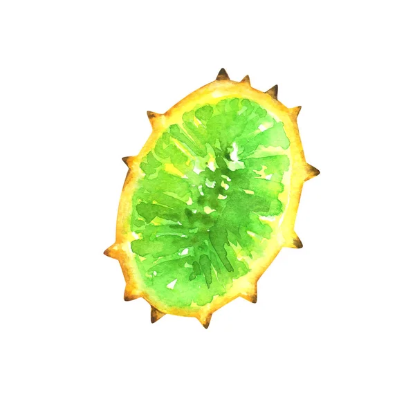 Acuarela Kiwano Pintada Mano Aislada Sobre Fondo Blanco Ilustración Frutas — Foto de Stock