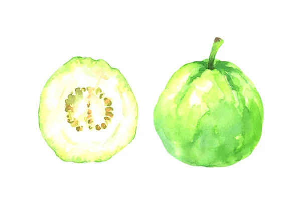Handgemalte Aquarell Illustration Von Scheiben Und Ganzen Guaven Isoliert Auf — Stockfoto