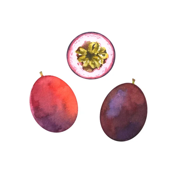 Acuarela Pintada Mano Ilustración Rebanada Fruta Pasión Entera Aislada Sobre — Foto de Stock