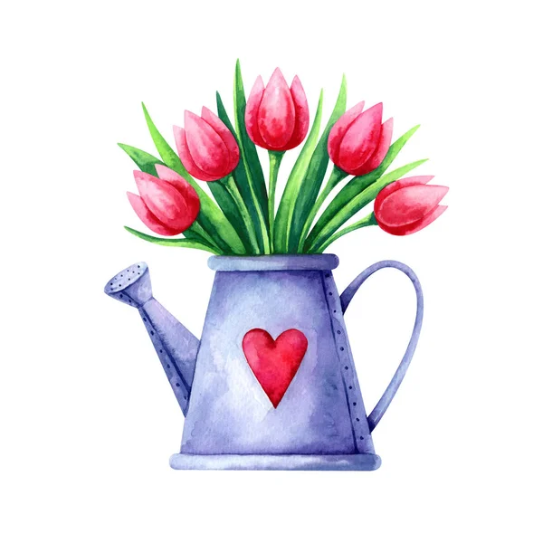 Hand Painted Watercolor Illustration Bouquet Red Tulips Watering Can Isolated — Stock Photo, Image