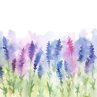 El boyalı suluboya lavanta alan illüstrasyon. Tasarımınız için botanik arka plan