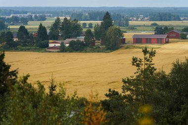 Satakunta, Finlandiya 'da altın arazili kırsal alan.