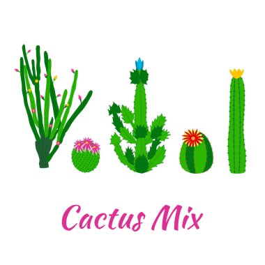 Kaktüs vektör toplama