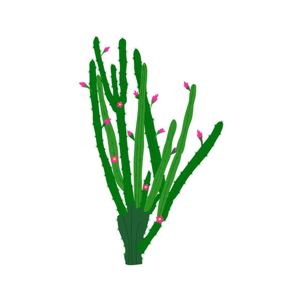 Isolement de cactus avec des fleurs — Image vectorielle