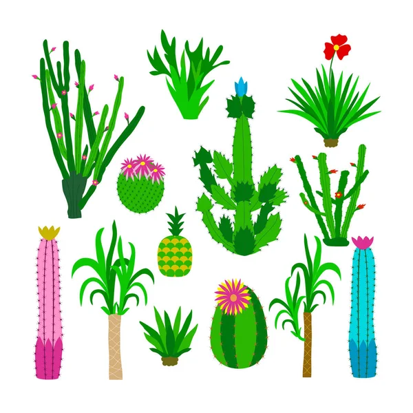 Iconos con cactus — Vector de stock